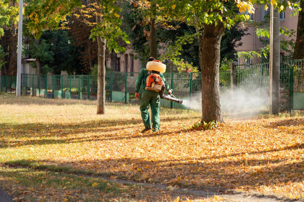 Insect Control in Oakville, CT